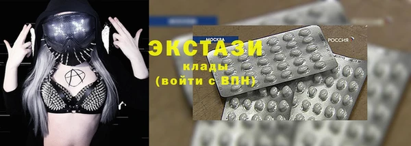 СК Алексин