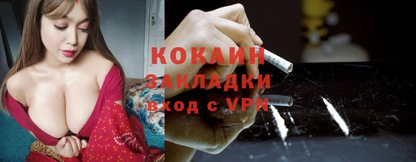 СК Алексин