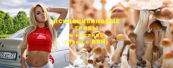 СК Алексин